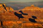 Vishnu Temple at sunset from south rim, Grand Canyon National Park, Arizona Art Print